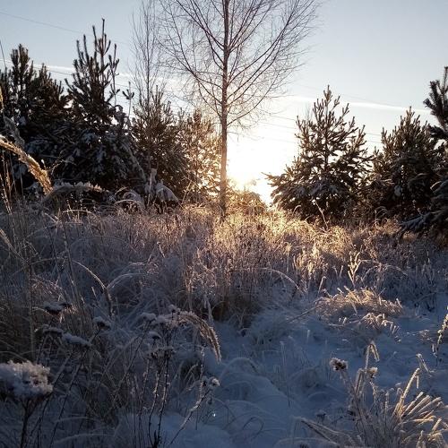 Photo #5401770