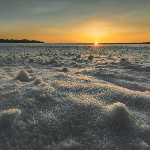 Photo #5402152