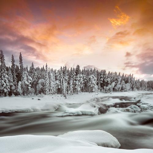 Photo #5402153