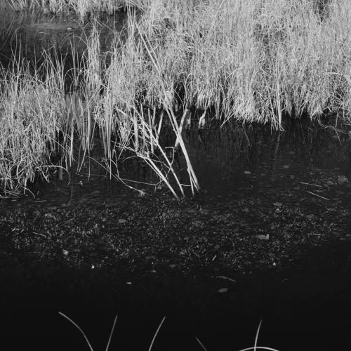 Photo #5402160