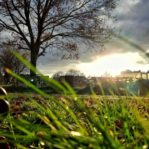 Photo #5402165