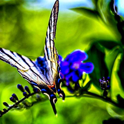 Photo #5402379