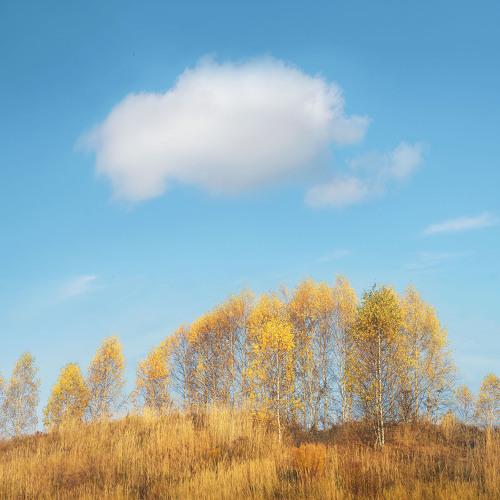 Photo #5402736