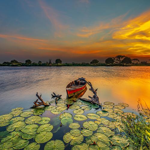 The Canoe