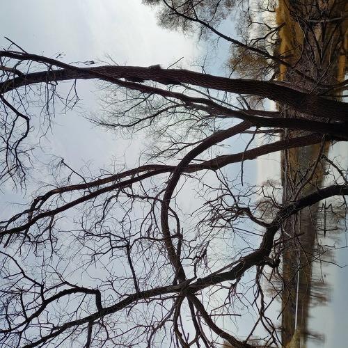 Photo #5403228