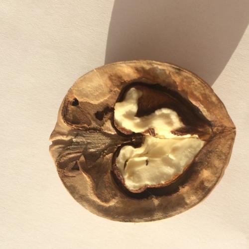Walnuts