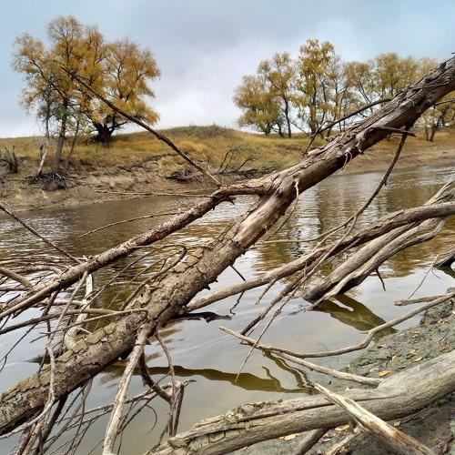 Photo #5403278