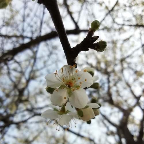 Photo #5403567