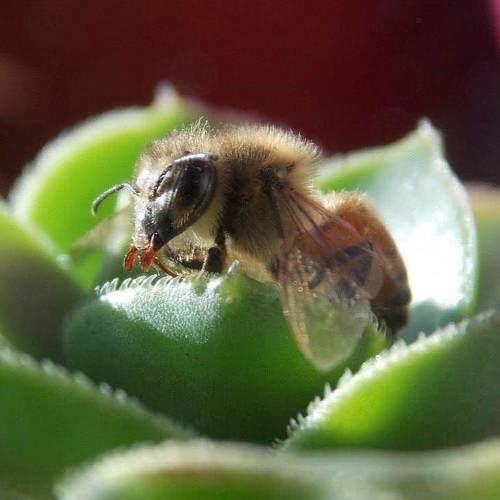 Photo #5403610