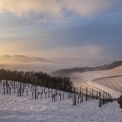 Photo #5403645