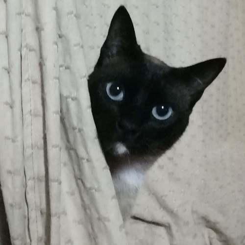 Photo #5403841