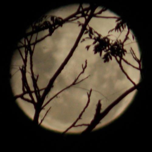 Photo #5404756