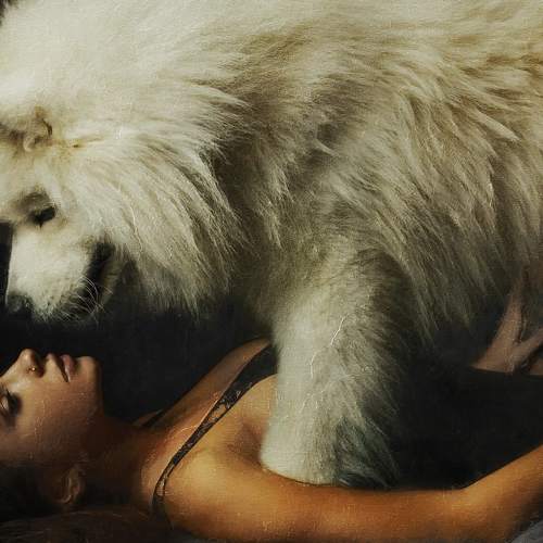 Photo #5404937