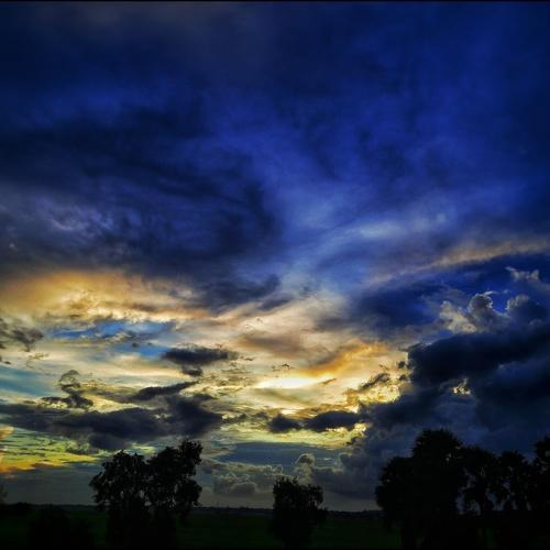 Photo #5405138
