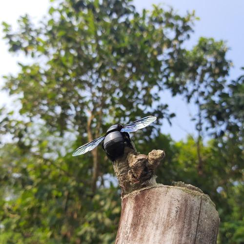 Photo #5405141