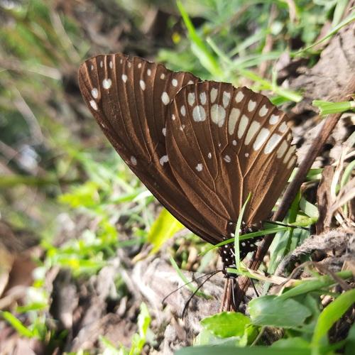 Photo #5405146