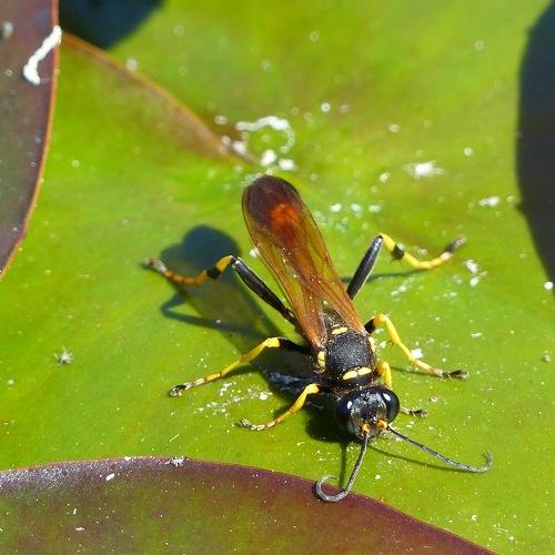 Photo #5405354