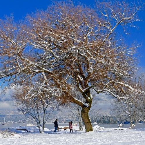 Photo #5405384