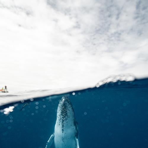 Photo #5405411