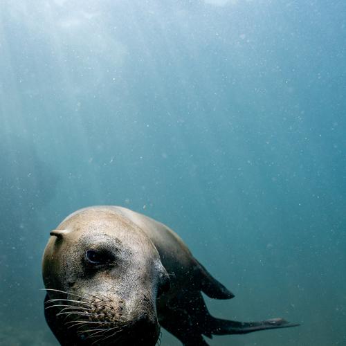 Photo #5405415
