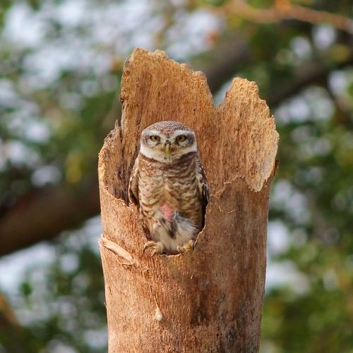 Photo #5405463