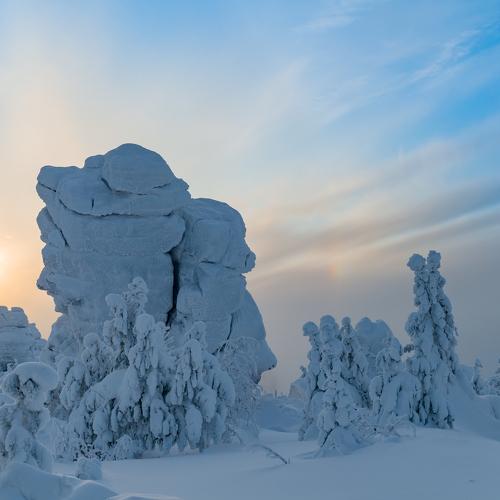 Photo #5405589