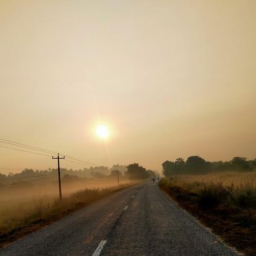 Photo #5406231