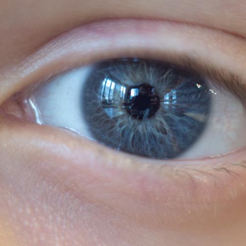 Photo #5406238