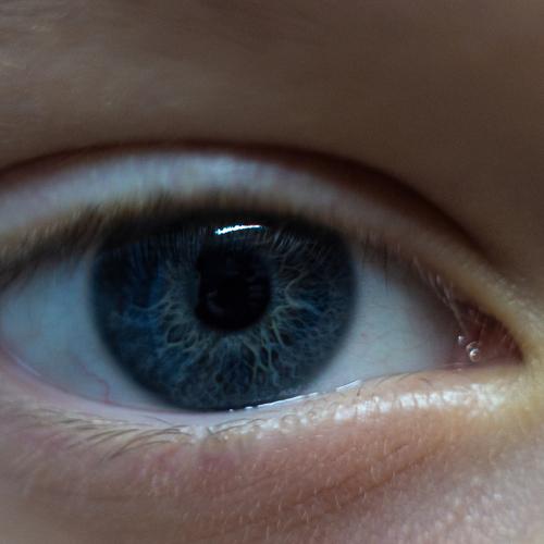 Photo #5406239