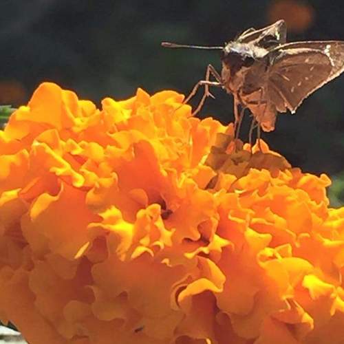 Photo #5406278