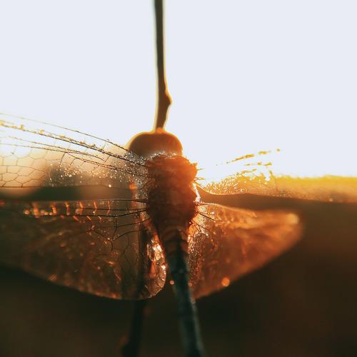 Photo #5406431
