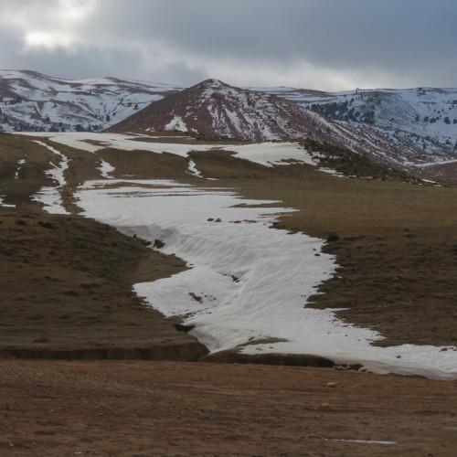 Photo #5406745