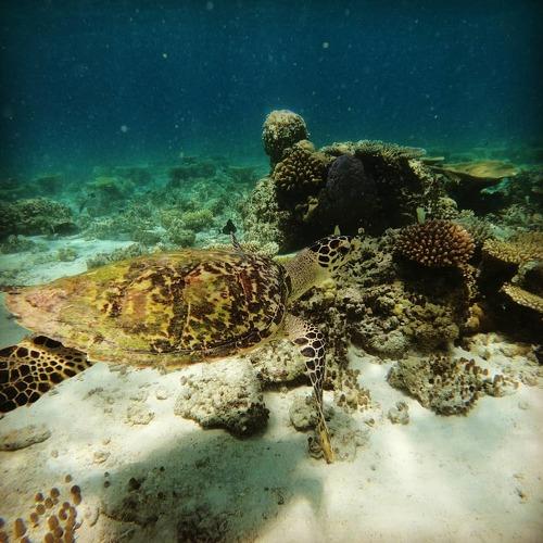 Photo #5406807