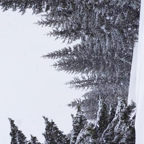 Photo #5406827