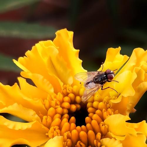 Photo #5407076