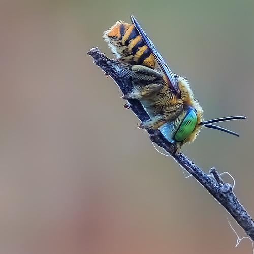 Photo #5407345