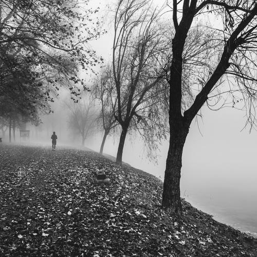 Photo #5407444