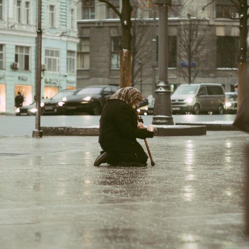 Photo #5407517