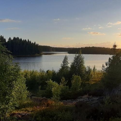 Photo #5407596