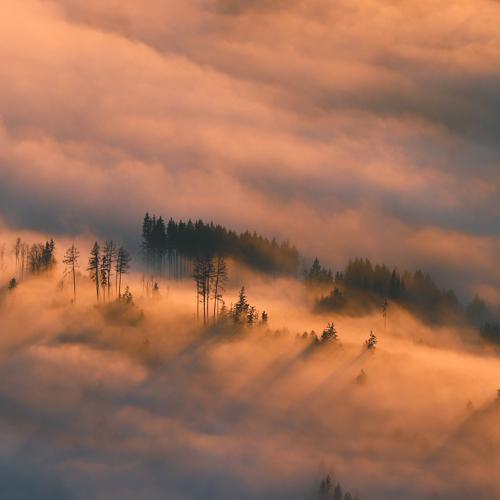 Photo #5407864