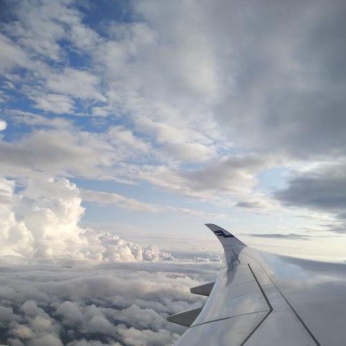 Photo #5408098