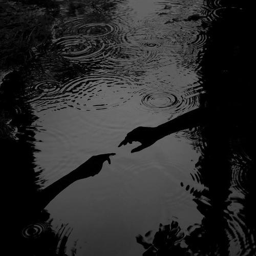 Photo #5409799
