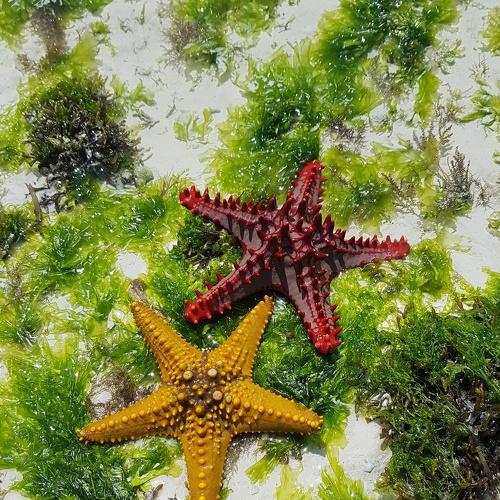 Photo #5409819