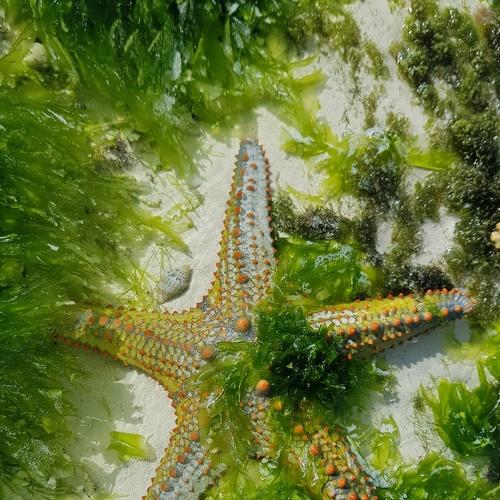 Photo #5409846