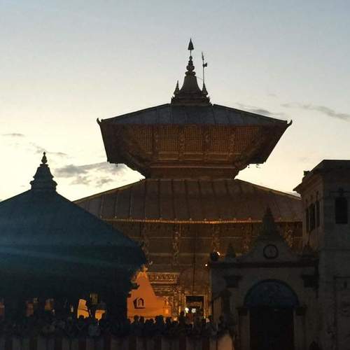 Photo #5410037