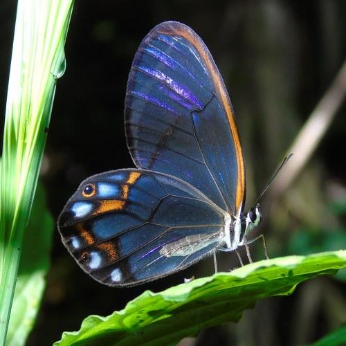 Photo #5410461