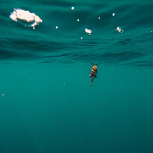 Photo #5410781