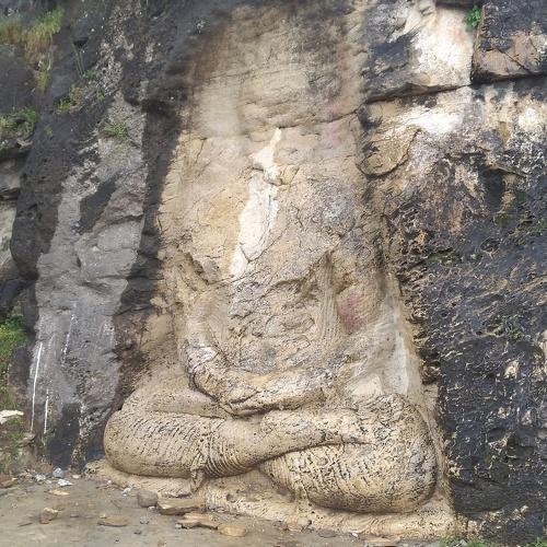 Photo #5410987