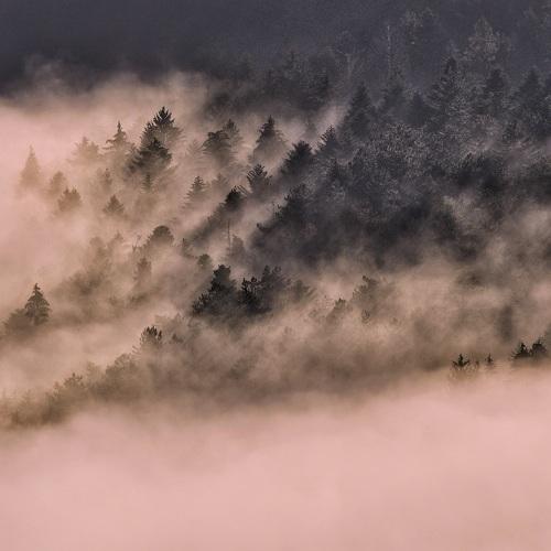 Photo #5411614