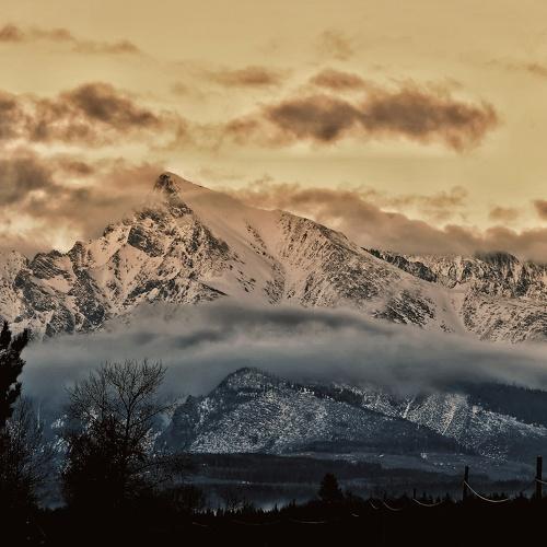 Photo #5411670
